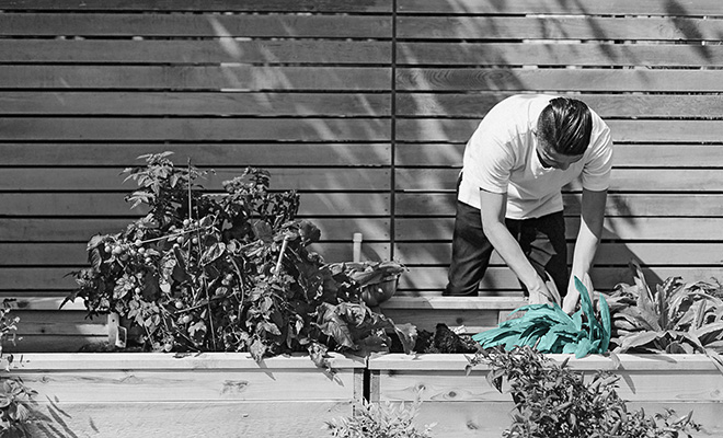 Garden DIY and homeware wholesale